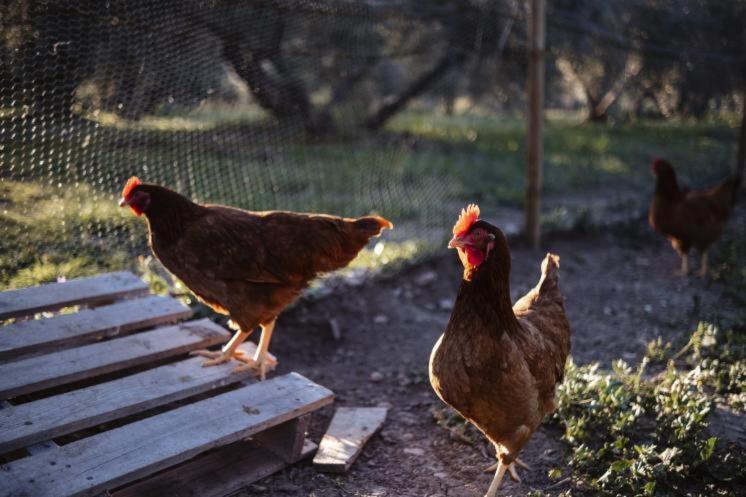 Vivienda Rural Del Salado Villa Jaén Eksteriør billede
